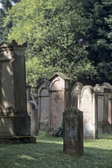 Fototapeta na wymiar Grabsteine auf dem juedischen Teil des Alzeyer Friedhofs