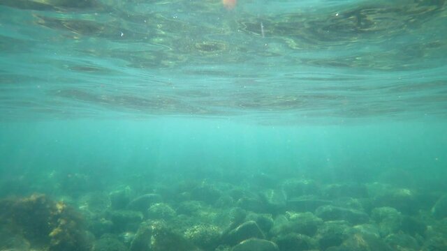 Waves underwater with sun rays. Transparent water with surface in ocean