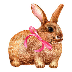 Bunny clipart, cute rabbit, easter clip art. Stock illustration. Hand painted in watercolor.