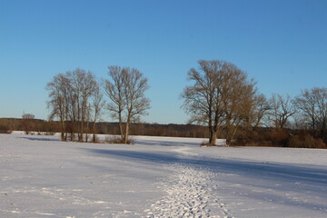 Zimowy krajobraz nad rzeką © SZYMON
