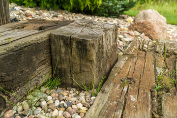 summer green garden or park