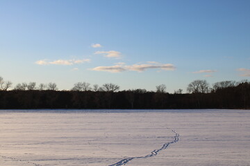 Schneelandschaft im Februar Querformat