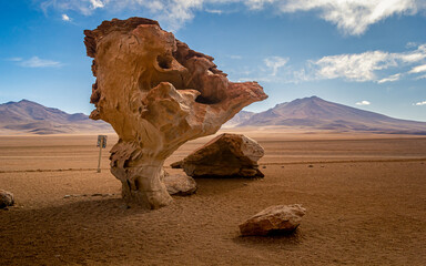 Fototapeta na wymiar Iconic Árbol de Piedra rock formation in Siloli Desert, Bolivia