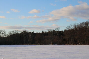 Winterlandschaft im Februar