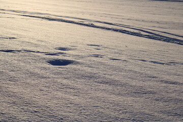 Schnee Landschaft im Abendlicht