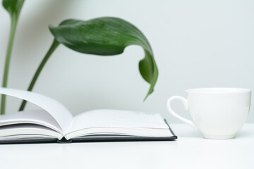 There is a white cup on the open diary. In the background, the leaves of a domestic plant. The concept of education, business