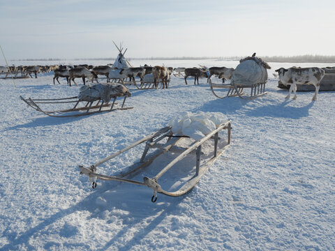 Ethnography. Living at the home of the indigenous population of the Arctic. Spring in Sweden