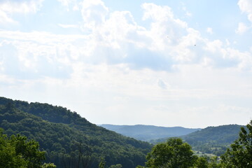 Woodland views in the Driftless Area of Southwest Wisconsin