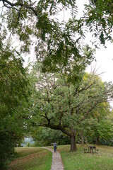 Old city park in the summer