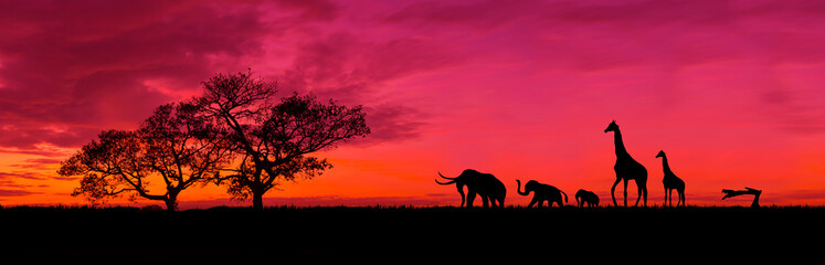 Fototapeta na wymiar Amazing sunset and sunrise.Panorama silhouette tree in africa with sunset.Safari theme.Giraffes , Lion , Rhino.