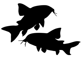 Aquarium catfish in the set.