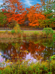 Fall colors in trees and reflection