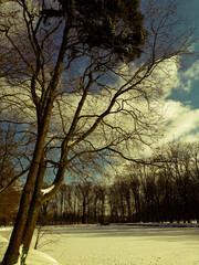 zima,park,śnieg © Szadam1959