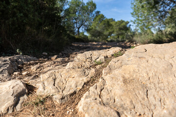 rock in the mountains