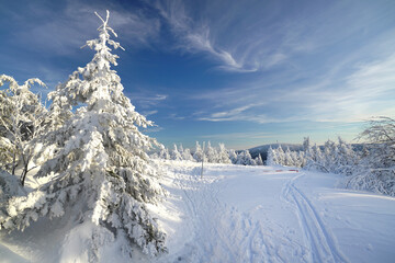 Winter in den Bergen