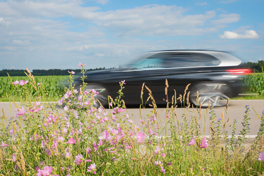 Very Fast Black Car On The Road, Perspective From Roadside Green Space With Wildflowers