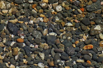 pebbles on the beach