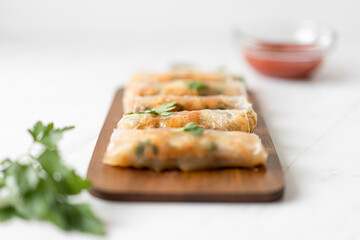 Vegetable Spring Rolls with Tomato Chili Dip, Flat Lay