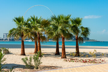 Palm trees and ferris wheel on Dubai beach