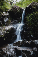 Fototapeta premium waterfall in the forest