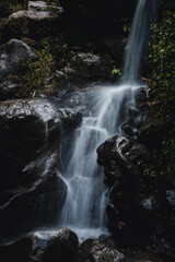 waterfall in the forest