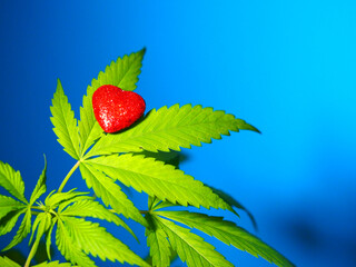 marijuana growing plant hemp red heart sign. cannabis love