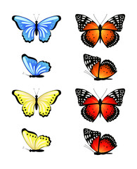 Obraz na płótnie Canvas Bright set of vector butterflies