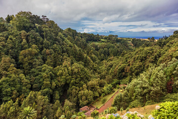 Fototapeta na wymiar Landscape of hilly valley Sao Miguel island, Portugal