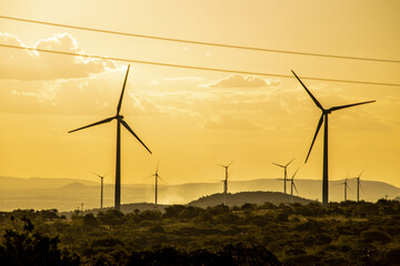 Obraz premium wind turbine at sunset