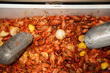 overhead closeup view of a large quantity of cooked crawfish ready to eat at a crawfish boil party...