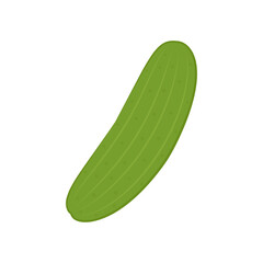 Cucumber vector. Cucumber on white background.