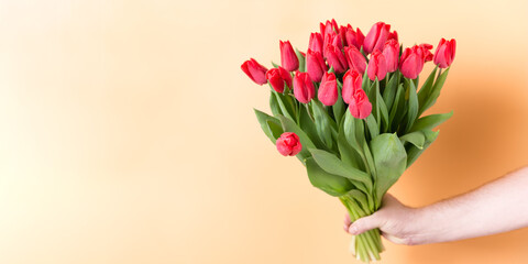 A large bouquet of red tulips in mans hand - spring flowers for the holiday of March 8. Banner. Copy space