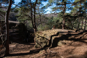 Beautiful landscape around the Katzensteine ​​in Katzvey in the Eifel