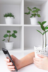 Conducting a stream in a video blog. The blogger is live streaming from a smartphone and holding a houseplant.