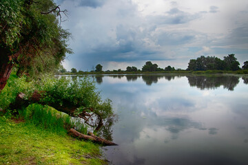 View of lake in Ladynka village in Chernihiv region in the summer, Ukraine