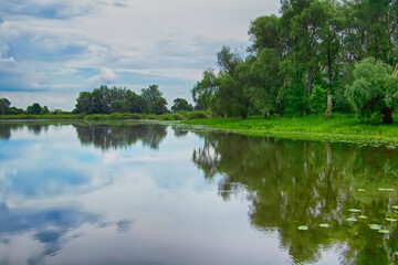Fototapeta na wymiar View of lake in Ladynka village in Chernihiv region in the summer, Ukraine