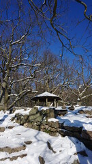 a wooden pavilion on the snowy Ritterplatte (knight plate) at the Battert, a panorama path in Baden-Baden in the region Baden-Wuerttemberg, Germany