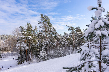 Winter Snow Slide. People winter sports activity. People healthy lifestyle. Winter entertainment. Sledding and snowmobiling from high hills. Amazing beautiful snowy forest landscape background. 