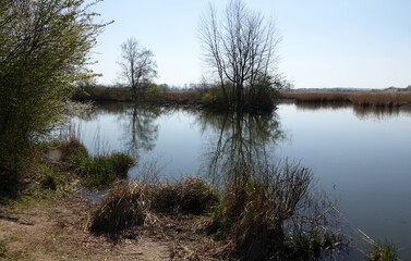 Reinheimer Teich bei Darmstadt