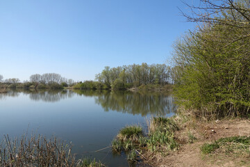 Fototapeta na wymiar Reinheimer Teich bei Darmstadt