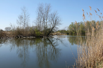 Reinheimer Teich bei Darmstadt