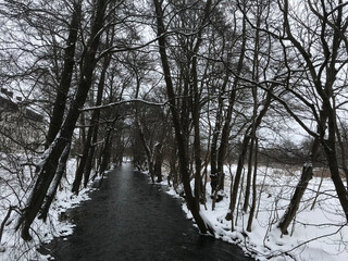 river Reda  in winter