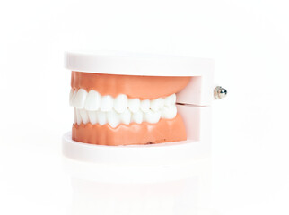 Artificial denture teeth over isolated white background.
