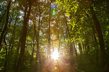 energia © #moreideas