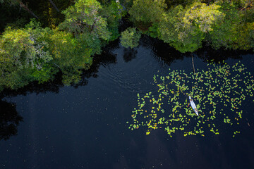 Canoing in a swedish lake