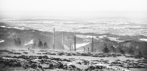 Fototapeta premium the wall