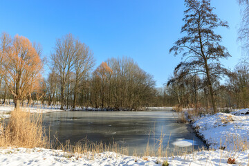 frozen lake in park in Hoogvliet, dutch winter in The Netherlands, February