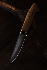 Hunting knife made of damascus steel on wooden background
