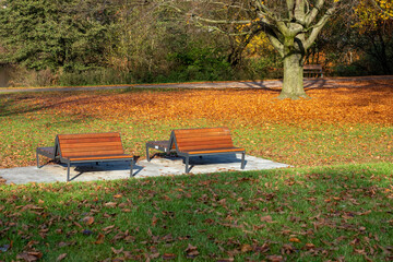 Zwei Holzbänke in einem Park