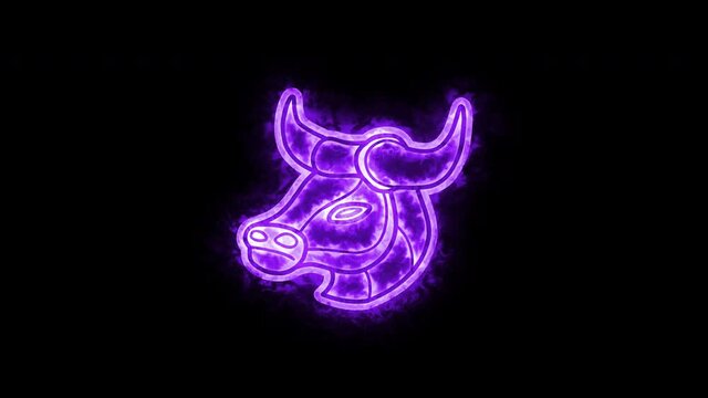 The Taurus zodiac symbol, horoscope sign lighting effect purple neon glow. Royalty high-quality free stock of Taurus signs isolated on black background. Horoscope, astrology icons with simple style
